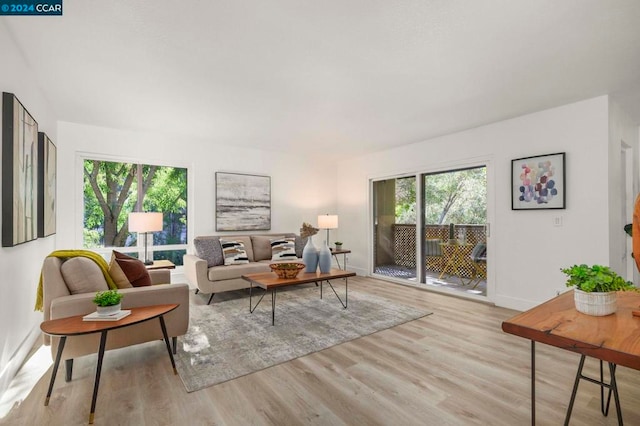 living room with light hardwood / wood-style floors