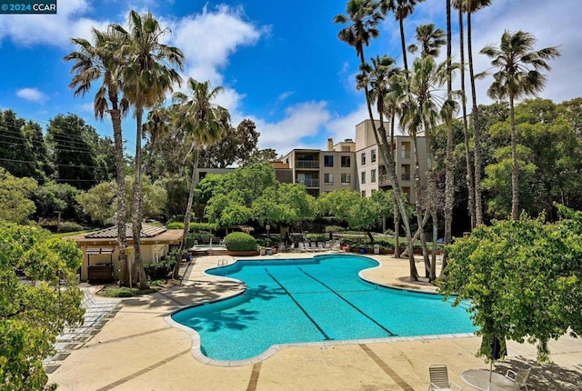 view of swimming pool featuring a patio area