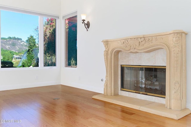 room details featuring a premium fireplace and wood-type flooring