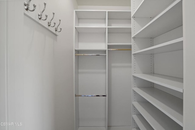 view of spacious closet