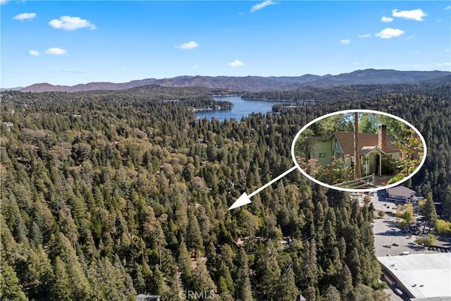 birds eye view of property with a water and mountain view