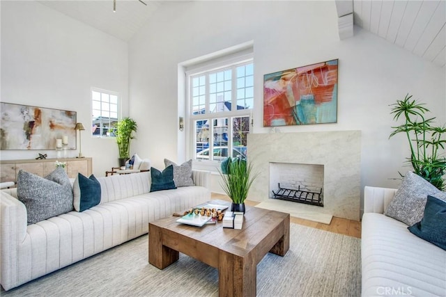 living room with a fireplace, wood-type flooring, high vaulted ceiling, and plenty of natural light