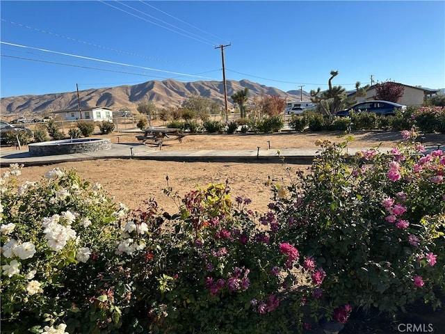 view of yard with a mountain view