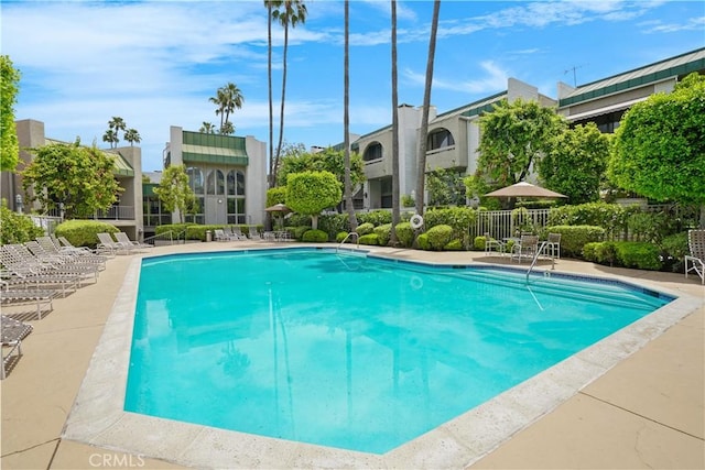 view of pool with a patio area