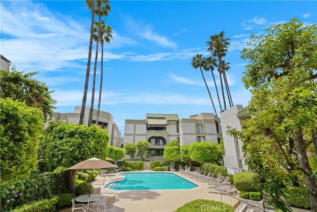 view of pool featuring a patio