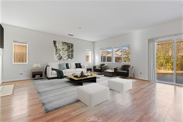 living room featuring wood-type flooring