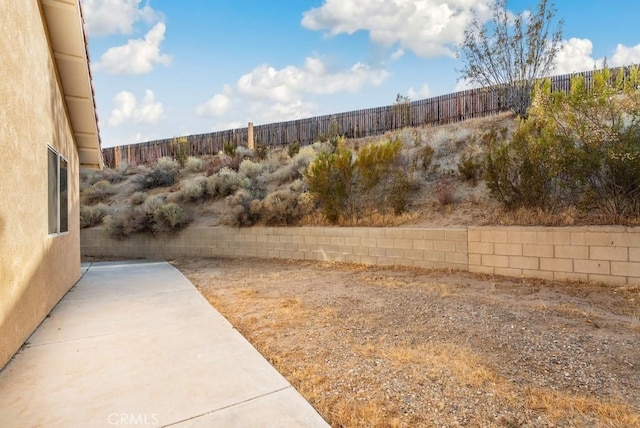 view of yard with a patio