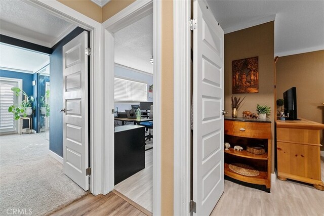 hallway featuring a textured ceiling, light hardwood / wood-style floors, and ornamental molding