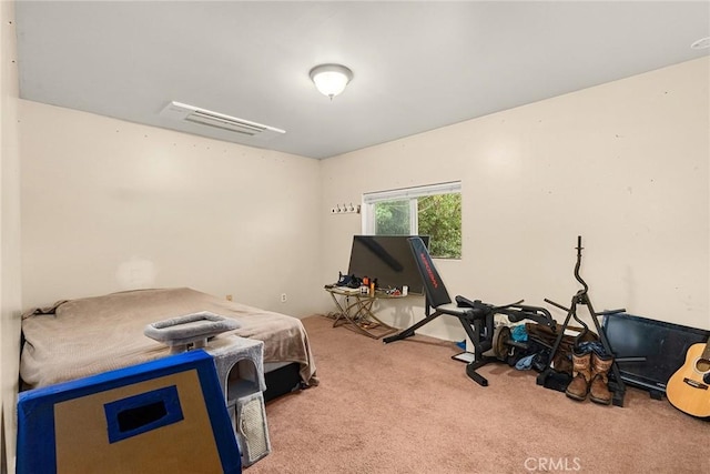 bedroom featuring carpet