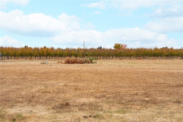 view of landscape featuring a rural view