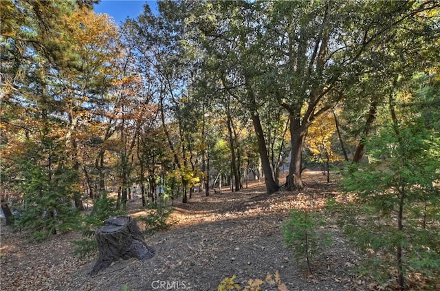 21778 Ridge Dr, Cedarpines Park, CA 92322 - photo 40