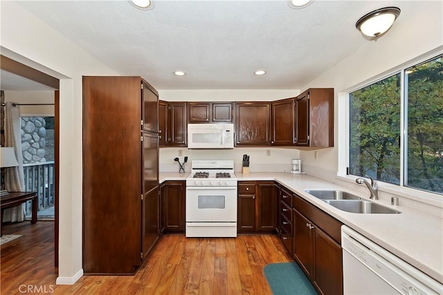 kitchen featuring light hardwood / wood-style floors, white appliances, sink, and a wealth of natural light