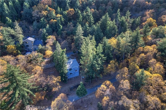 21778 Ridge Dr, Cedarpines Park, CA 92322 - photo 37