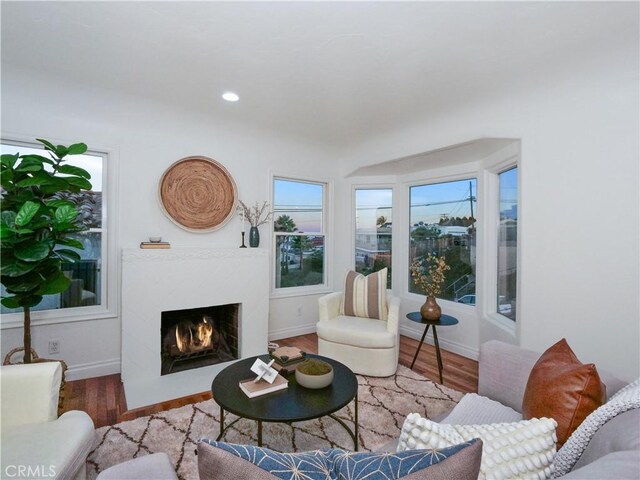 living room featuring a healthy amount of sunlight and hardwood / wood-style flooring