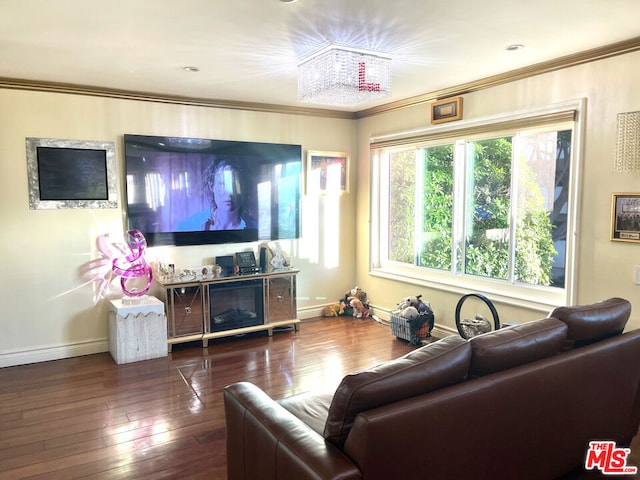 living room with a chandelier, dark hardwood / wood-style flooring, and ornamental molding