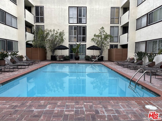 view of pool featuring a patio