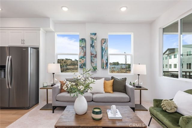 living room with plenty of natural light and light wood-type flooring