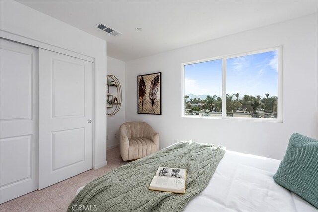 carpeted bedroom featuring a closet