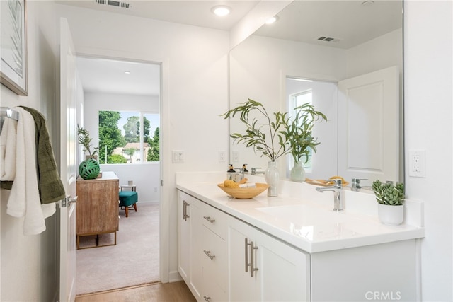 bathroom with vanity and wood-type flooring