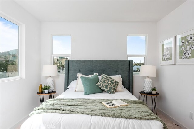 bedroom with carpet flooring