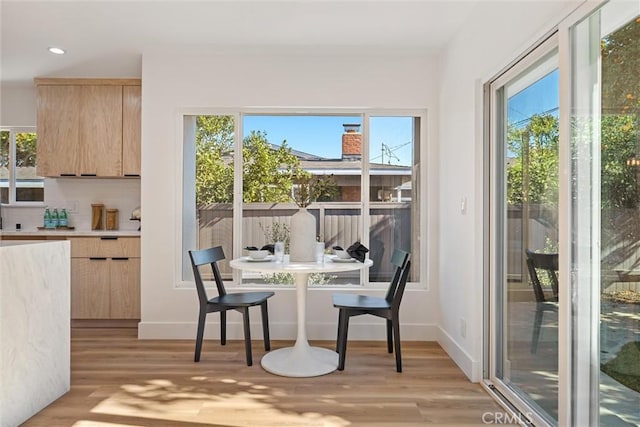 interior space with light hardwood / wood-style flooring and a healthy amount of sunlight