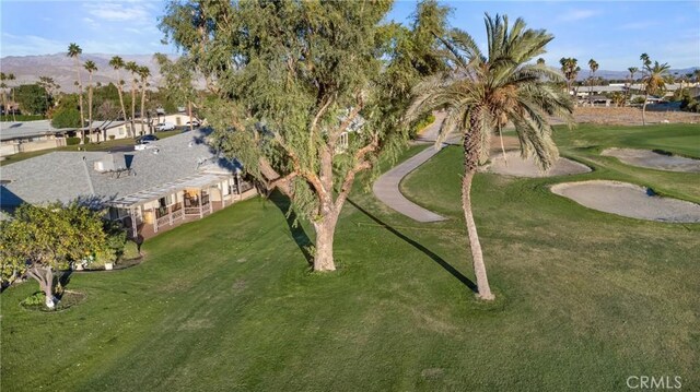 drone / aerial view