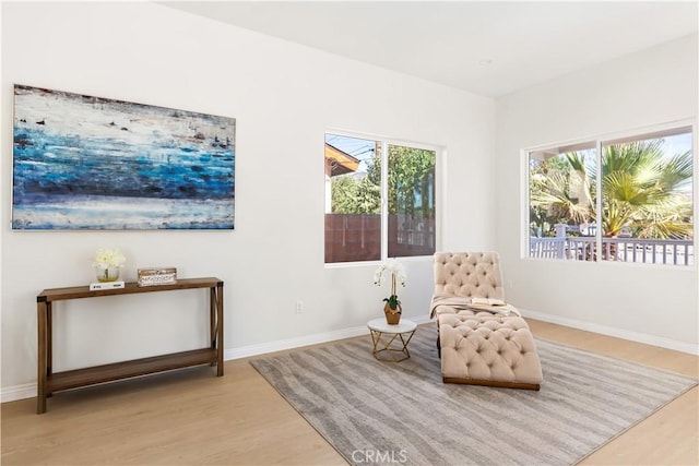 sitting room with light wood-type flooring