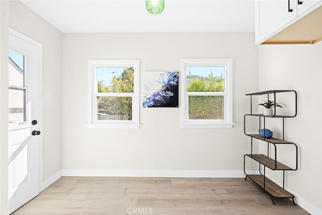 interior space featuring plenty of natural light and light wood-type flooring