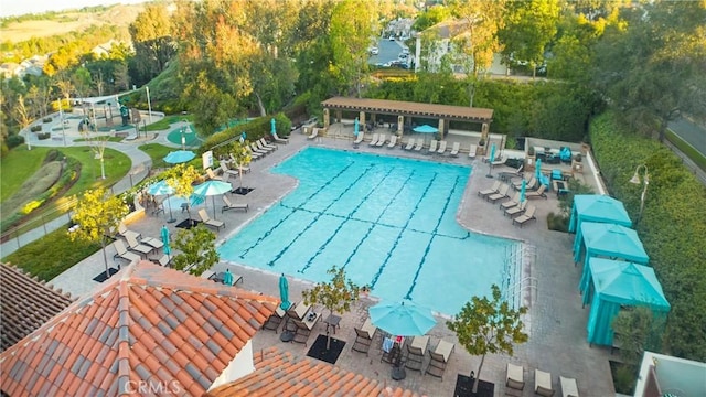 view of swimming pool featuring a patio