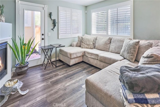 living room featuring dark wood-type flooring