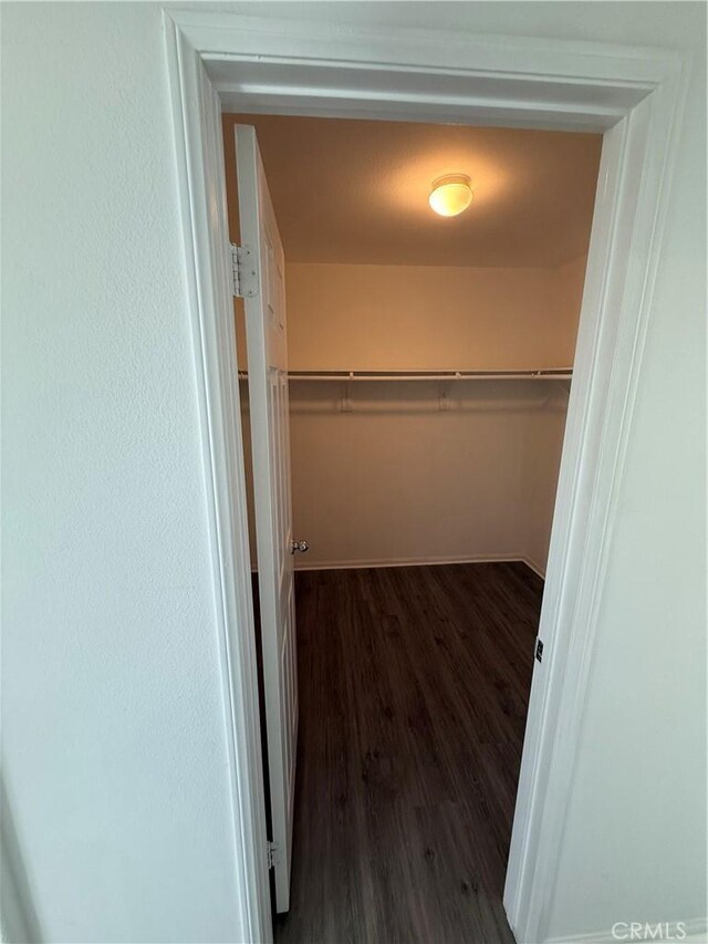 spacious closet featuring dark hardwood / wood-style flooring