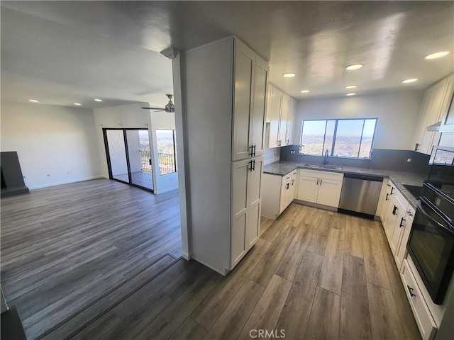 kitchen featuring white cabinetry, sink, and stainless steel dishwasher