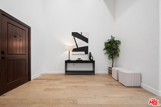 entryway with light hardwood / wood-style flooring