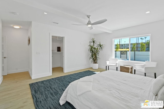 bedroom featuring light hardwood / wood-style floors, a spacious closet, a closet, and ceiling fan