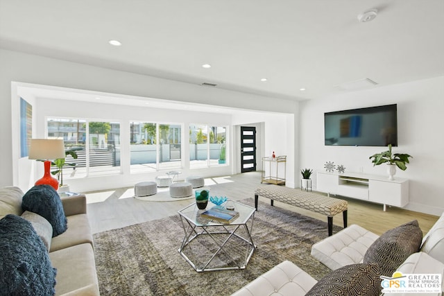 living room featuring light hardwood / wood-style floors and a healthy amount of sunlight