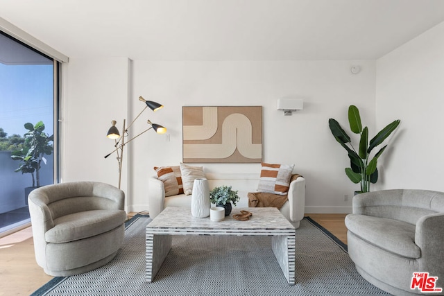 living room with hardwood / wood-style flooring