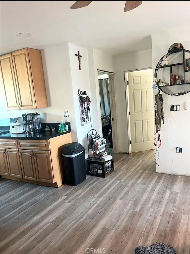 kitchen featuring ceiling fan and hardwood / wood-style flooring