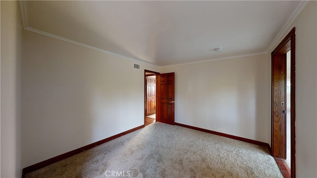 empty room featuring carpet floors and crown molding