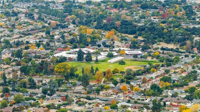 bird's eye view