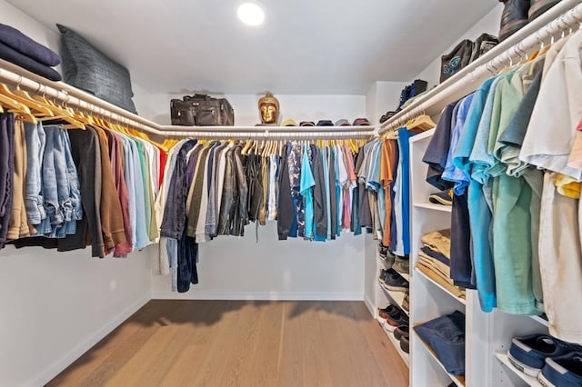 spacious closet with wood-type flooring