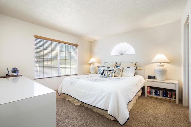 bedroom with light carpet, a textured ceiling, and multiple windows