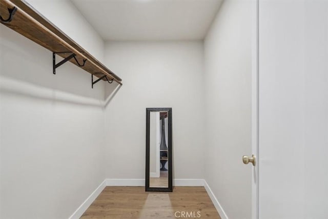 spacious closet featuring light hardwood / wood-style flooring