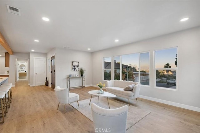 living room featuring light hardwood / wood-style flooring