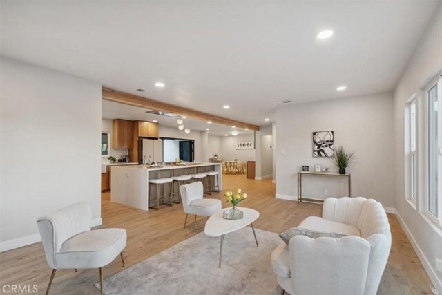 living room featuring light hardwood / wood-style floors