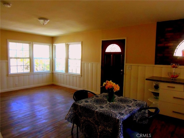 dining area with dark hardwood / wood-style floors