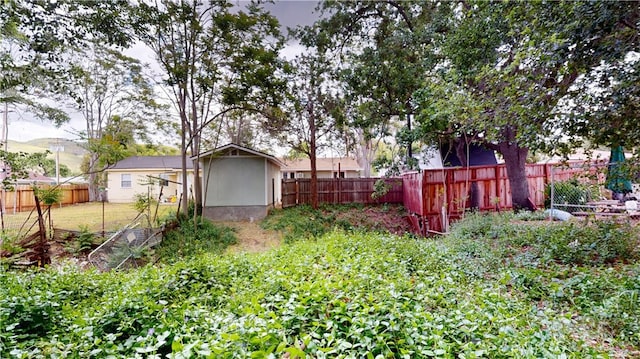 view of yard with a fenced backyard