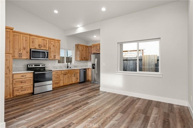 kitchen featuring wood-type flooring, stainless steel appliances, vaulted ceiling, and a wealth of natural light