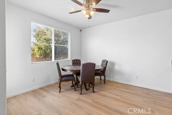 dining area featuring ceiling fan and light hardwood / wood-style flooring