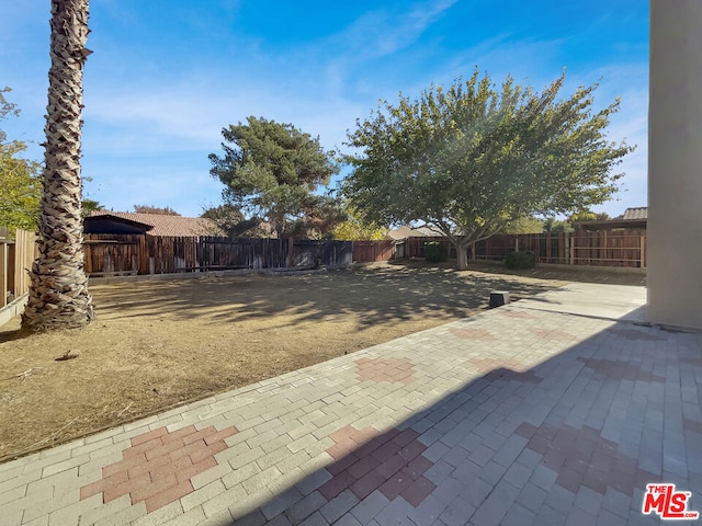 view of yard featuring a patio area