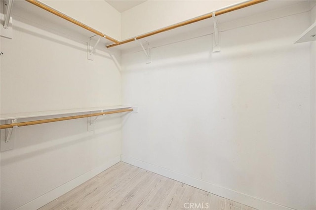 walk in closet featuring light hardwood / wood-style floors